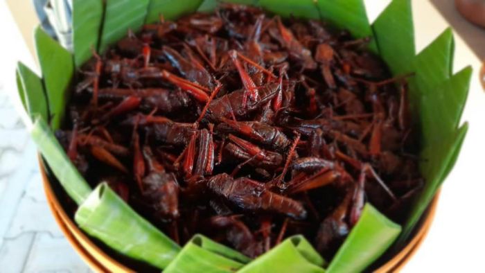 6 Makanan Khas Gunungkidul yang Terkenal Lezat 6 Makanan Khas Gunungkidul yang Terkenal Lezat