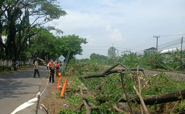 Pasca Hujan Deras, Dinas PU Bina Marga Pasuruan Data Infrastruktur yang Rusak Pasca Hujan Deras, Dinas PU Bina Marga Pasuruan Data Infrastruktur yang Rusak