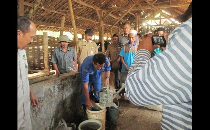 Pemkab Pasuruan Kembangkan Bank Pakan Sisa Limbah Hasil Panen