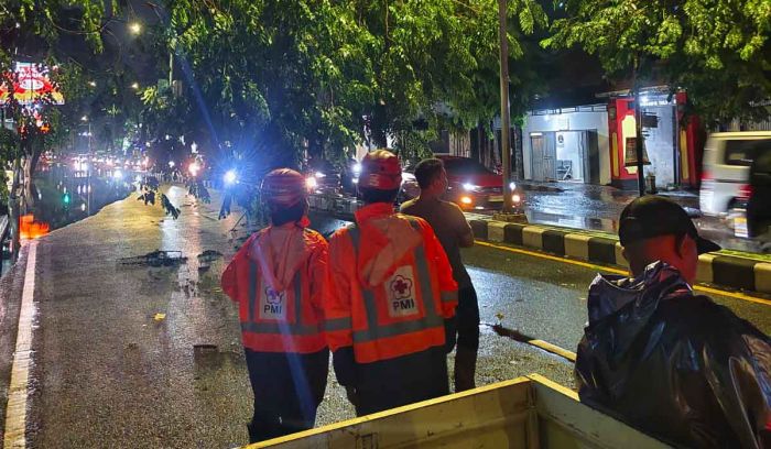 Hujan Lebat dan Angin Kencang, Kalaksa BPBD Sidoarjo Beberkan Dampaknya Hujan Lebat dan Angin Kencang, Kalaksa BPBD Sidoarjo Beberkan Dampaknya