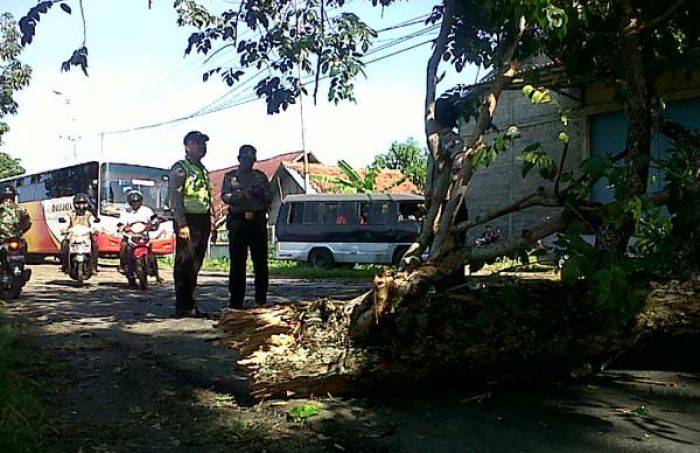Seluruh Wilayah di Bojonegoro sudah Diguyur Hujan Seluruh Wilayah di Bojonegoro sudah Diguyur Hujan