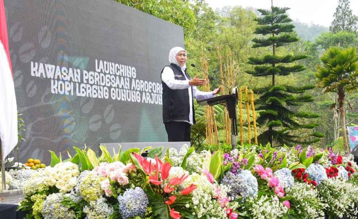 Gubernur Khofifah Launching Kawasan Pedesaan Agroforestri Kopi Lereng Gunung Arjuno Gubernur Khofifah Launching Kawasan Pedesaan Agroforestri Kopi Lereng Gunung Arjuno