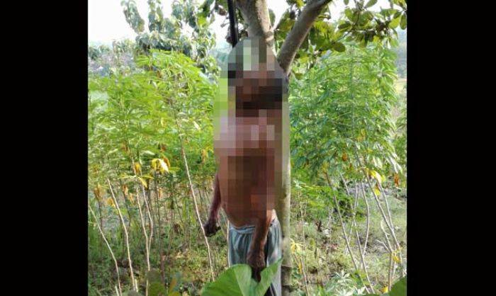 Dua Hari, Dua Orang di Bojonegoro Ditemukan Tewas Gantung Diri Dua Hari, Dua Orang di Bojonegoro Ditemukan Tewas Gantung Diri