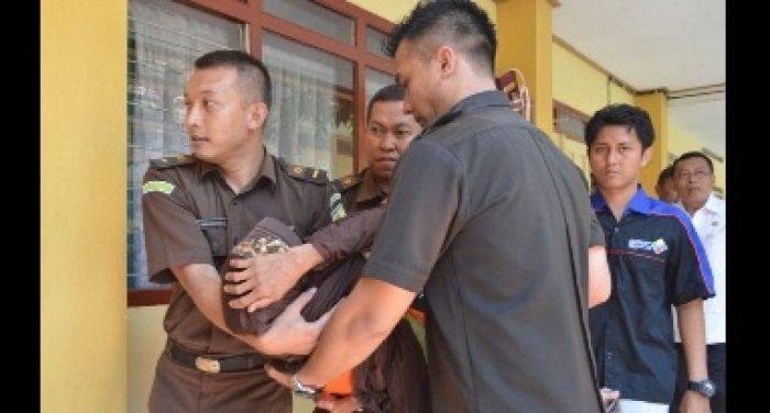 Sempat Pingsan Lagi, Bupati Situbondo Jaminkan Diri Tangguh Penahanan Asyani