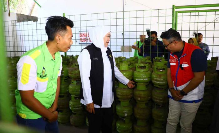 Tinjau Ketersediaan LPG di Kabupaten Probolinggo, Gubernur Khofifah: Stok Aman dan Harga Stabil Tinjau Ketersediaan LPG di Kabupaten Probolinggo, Gubernur Khofifah: Stok Aman dan Harga Stabil