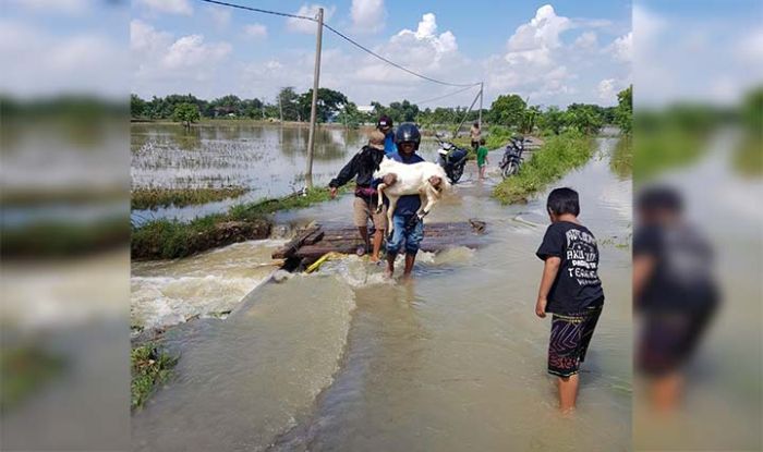 Jembatan Tak Kunjung Diperbaiki, Banjir di Sarirejo Meluas Jembatan Tak Kunjung Diperbaiki, Banjir di Sarirejo Meluas