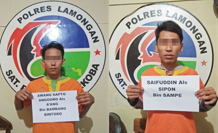 Edarkan Ratusan Pil Koplo, Dua Pemuda Turi Lamongan Diringkus Polisi Edarkan Ratusan Pil Koplo, Dua Pemuda Turi Lamongan Diringkus Polisi