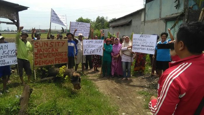 Nekat Tanami Trembesi, Puluhan Petani Juwet Kenongo Sidoarjo Usir Orang Suruhan Sun City Nekat Tanami Trembesi, Puluhan Petani Juwet Kenongo Sidoarjo Usir Orang Suruhan Sun City