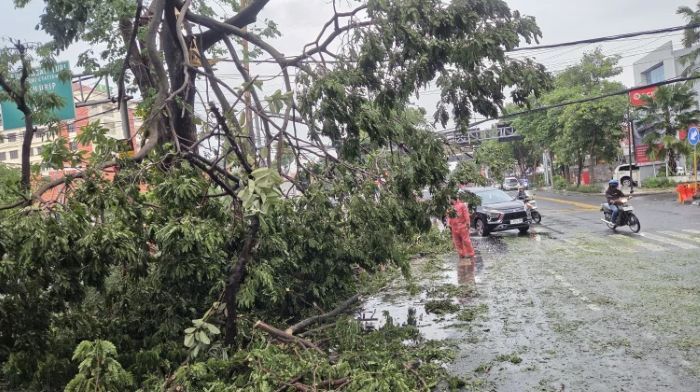Hujan Deras dan Angin Kencang Akibatkan Pohon Tumbang di Surabaya Barat