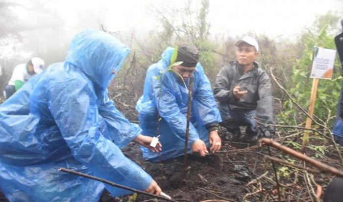Peduli Kelestarian Ranu Pane, Pegiat Lingkungan di Lumajang Tandur Bareng Peduli Kelestarian Ranu Pane, Pegiat Lingkungan di Lumajang Tandur Bareng