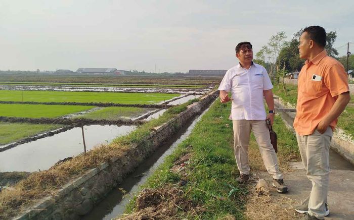 Pemerintah Naikkan Harga Gabah, Petani di Jombang Sumringah Pemerintah Naikkan Harga Gabah, Petani di Jombang Sumringah