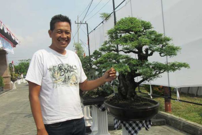 Ratusan Bonsai Dipajang di Bappeda Kabupaten Madiun