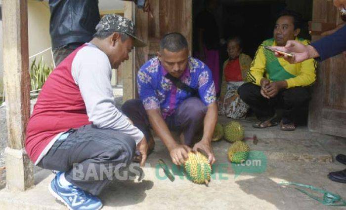 Kenalkan Wisata, Pemkab Kediri akan Gelar Festival Durian Medowo Kenalkan Wisata, Pemkab Kediri akan Gelar Festival Durian Medowo