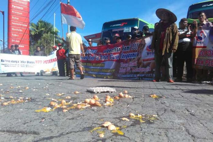 Terus Merugi, Ribuan Peternak Blitar Temui Presiden di Istana Terus Merugi, Ribuan Peternak Blitar Temui Presiden di Istana