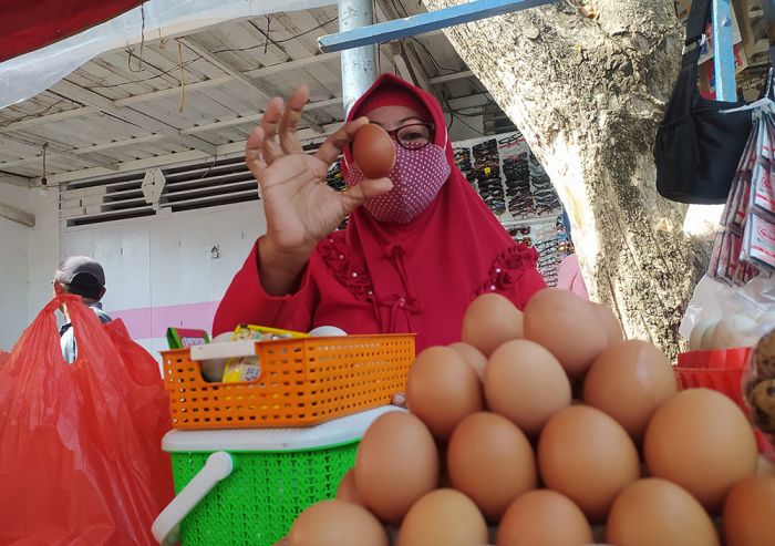 Jelang Maulid Nabi, Harga Telur Ayam Ras Merangkak Naik di Wilayah Ini Jelang Maulid Nabi, Harga Telur Ayam Ras Merangkak Naik di Wilayah Ini