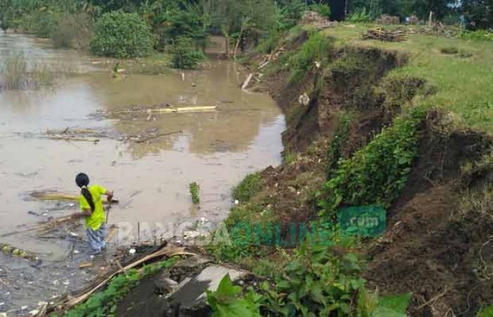Tujuh Titik Tanggul Sungai di Kanor Bojonegoro Rawan Jebol Tujuh Titik Tanggul Sungai di Kanor Bojonegoro Rawan Jebol