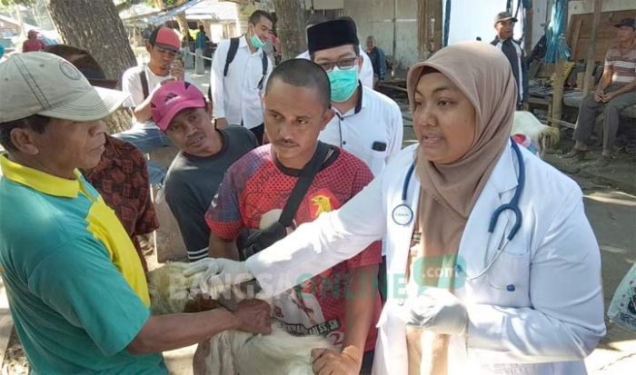 Periksa Hewan Kurban, Petugas Temukan Sapi dan Kambing Terkena Penyakit Mata