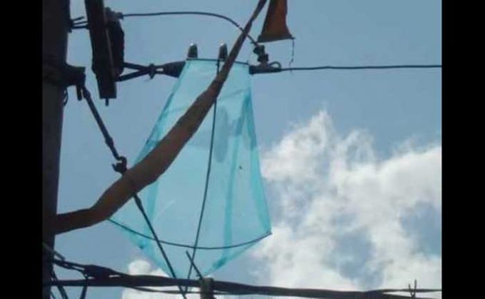 Listrik Padam Beberapa Kali, PLN Blitar Keluhkan Benang Layangan yang Nyangkut di Kabel Listrik Listrik Padam Beberapa Kali, PLN Blitar Keluhkan Benang Layangan yang Nyangkut di Kabel Listrik