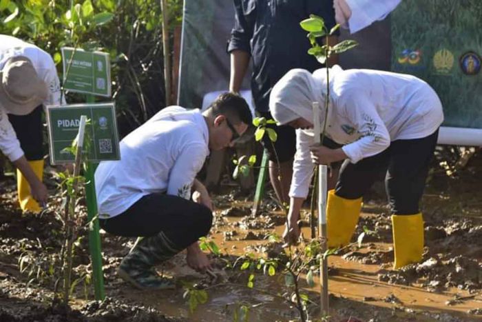 Festival Mangrove ke-4 di Trenggalek, Bupati: Gubernur Konsen Lingkungan Hidup dan Ekonomi