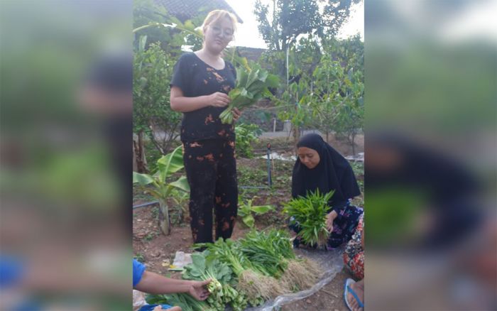Ubah Lahan Kosong Jadi Tempat Bertanam, Anggota KWT Putri Wilis Laksanakan P2L Ubah Lahan Kosong Jadi Tempat Bertanam, Anggota KWT Putri Wilis Laksanakan P2L