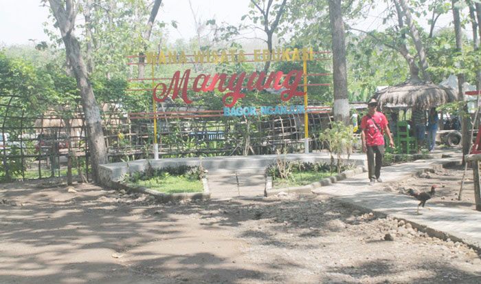 Perhutani Nganjuk Tawarkan Wisata Mengenal dan Mengolah Tanaman Kayu Putih Perhutani Nganjuk Tawarkan Wisata Mengenal dan Mengolah Tanaman Kayu Putih