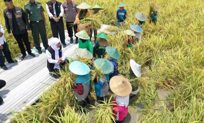 Gubernur Khofifah Sabet Penghargaan Adhikarya Nararya Pembangunan Pertanian Gubernur Khofifah Sabet Penghargaan Adhikarya Nararya Pembangunan Pertanian