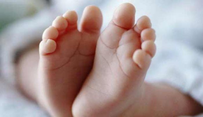 Angka Kematian Ibu Hamil di Jember Naik Angka Kematian Ibu Hamil di Jember Naik