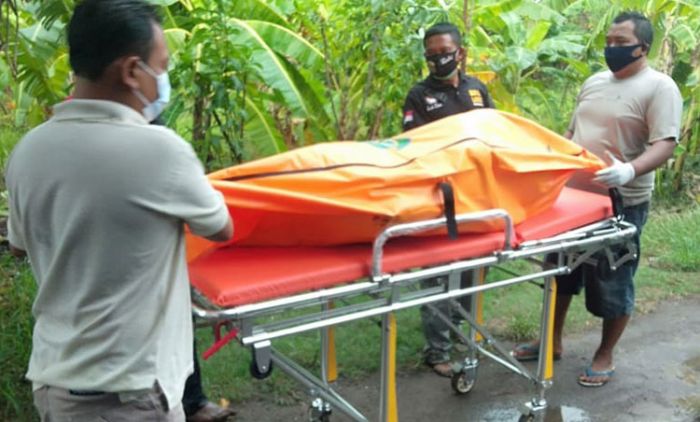 Hendak Cari Biawak, Seorang Warga di Sidoarjo Temukan Mayat di Kebun Sengon