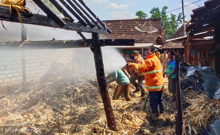 Kebakaran Kandang Ternak di Tuban, Puluhan Ton Jerami Hangus Kebakaran Kandang Ternak di Tuban, Puluhan Ton Jerami Hangus