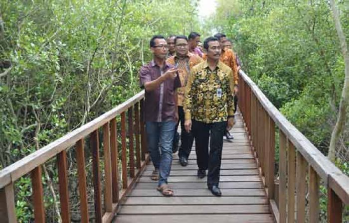 Keindahan Taman Mangrove Banyuurip Ujungpangkah Bikin Wabup Gresik Kagum