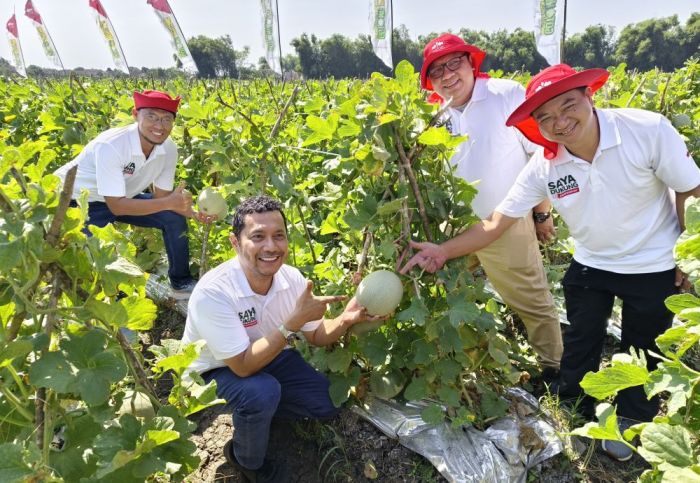 Peluncuran Benih Melon Davina F1 Pecahkan Rekor Muri Lewat Panen Serentak Seribu Petani di Nganjuk Peluncuran Benih Melon Davina F1 Pecahkan Rekor Muri Lewat Panen Serentak Seribu Petani di Nganjuk