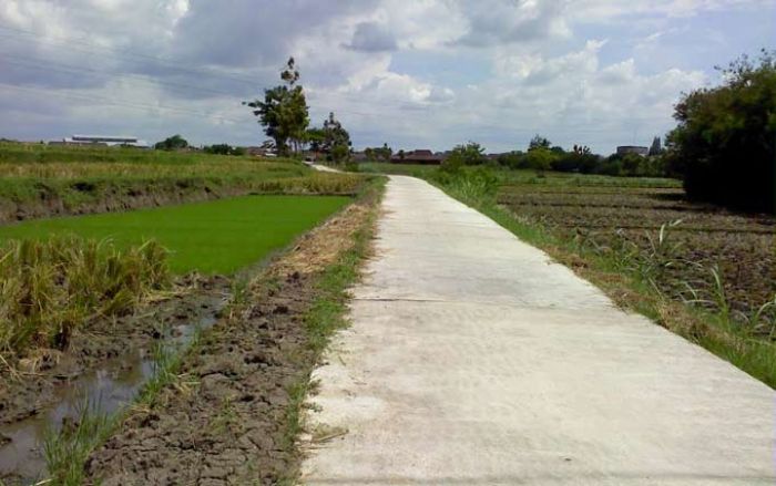Disperta Pasuruan Anggarkan Rp 2 M untuk Benahi Infrastruktur Jalan Persawahan Disperta Pasuruan Anggarkan Rp 2 M untuk Benahi Infrastruktur Jalan Persawahan