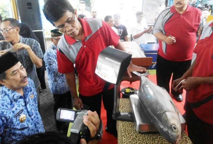 Peringati Maulid Nabi, Pemkab Sidoarjo Jualan 6 Ton Bandeng Peringati Maulid Nabi, Pemkab Sidoarjo Jualan 6 Ton Bandeng