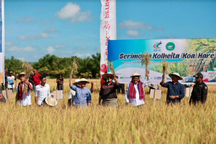 Petrokimia Gresik dan Pupuk Indonesia Sukses Tingkatkan Produktivitas Padi di Timor Leste Petrokimia Gresik dan Pupuk Indonesia Sukses Tingkatkan Produktivitas Padi di Timor Leste