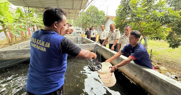 WBP Lapas Pamekasan Panen Lele dan Pisang, Disalurkan ke Program MBG