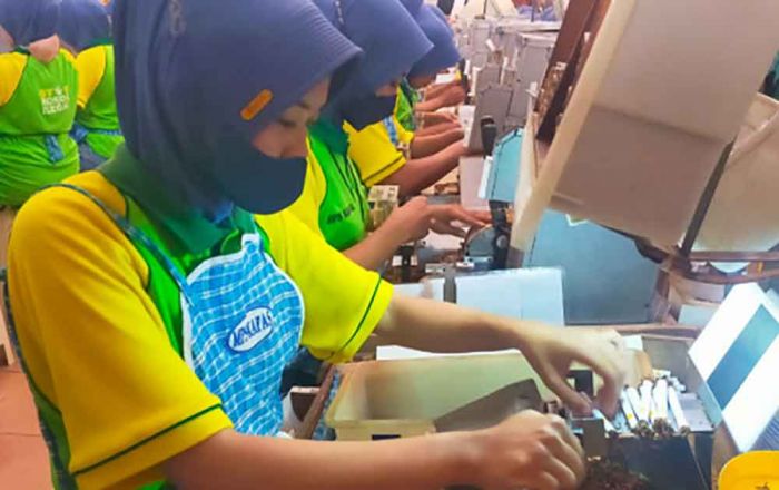 Lapangan Kerja Sulit, Pekerja Buruh di Bojonegoro Mendominasi Lapangan Kerja Sulit, Pekerja Buruh di Bojonegoro Mendominasi