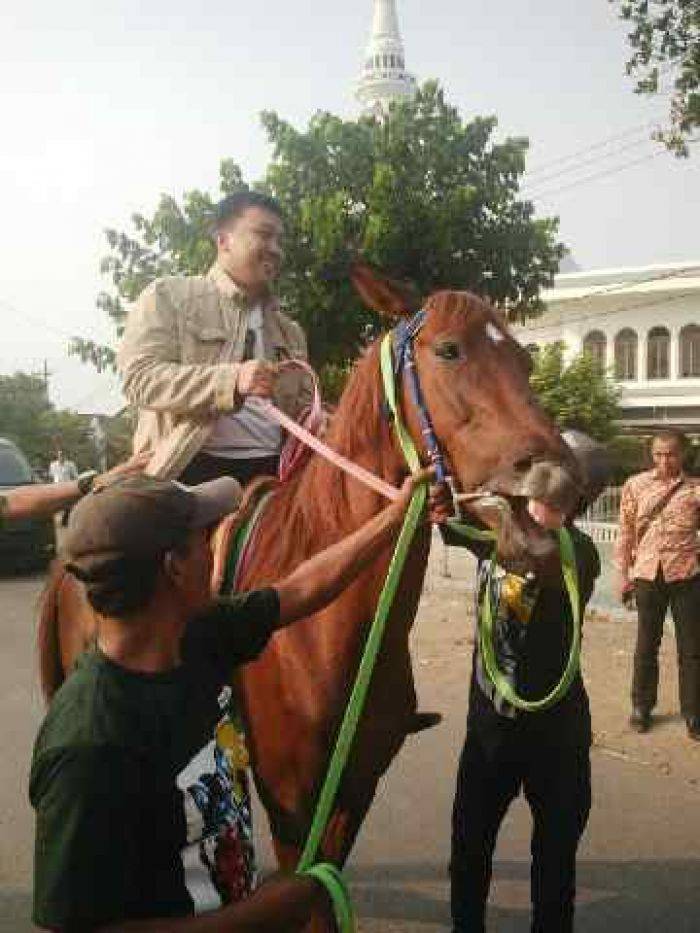 Menpora Pulang Kampung, Disambut Bonek dan Dinaikkan Kuda