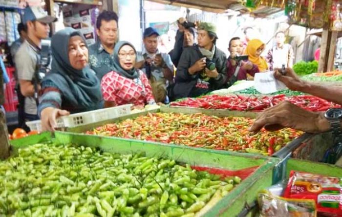 Waduh, Harga Cabai Melebihi Harga Daging Sapi 