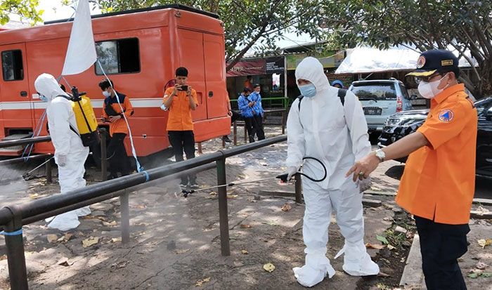 Cegah Penyebaran PMK, BPBD Jatim Lakukan Penyemprotan Disinfektan