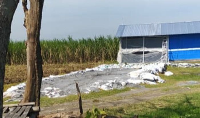 Sesak Dihirup dan Panas di Mata, Tumpukan Limbah B3 Dikeluhkan Warga Jombang Sesak Dihirup dan Panas di Mata, Tumpukan Limbah B3 Dikeluhkan Warga Jombang