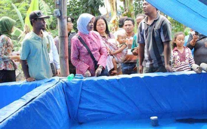 Tampung Keluhan Peternak Lele, Cabup Haryanti Siapkan Induk Lele Bersertifikat