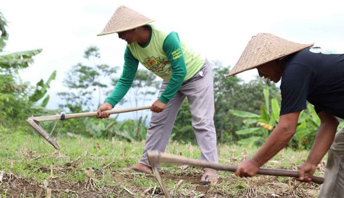 Redistribusi Tanah Kementerian ATR/BPN Akhiri Konflik Lahan di Desa Soso Blitar