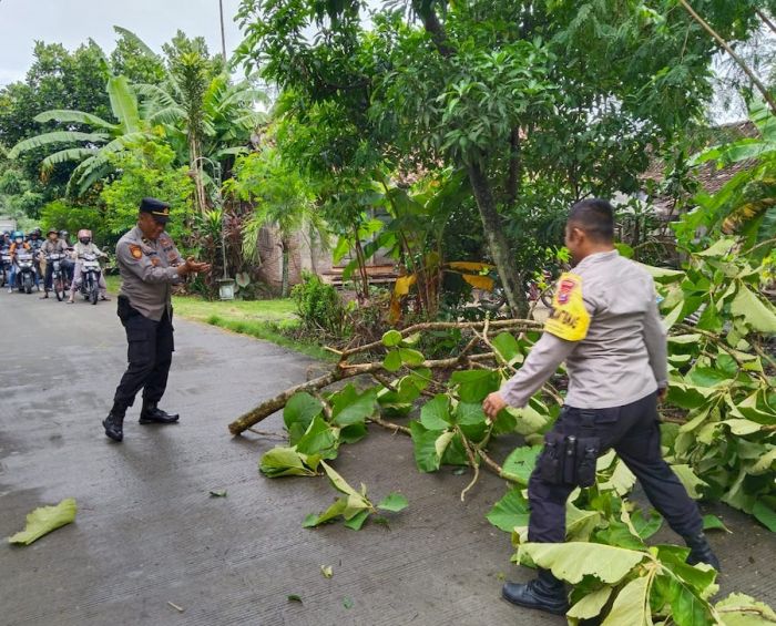 Antisipasi Tumbang di Musim Hujan Polsek Widodaren Ngawi dan Relawan Lakukan Pemotongan Pohon Antisipasi Tumbang di Musim Hujan Polsek Widodaren Ngawi dan Relawan Lakukan Pemotongan Pohon