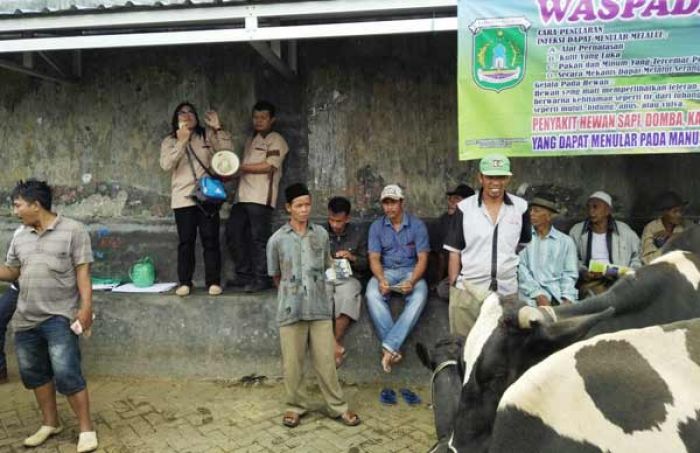 Cegah Penyakit Hewan, Peternak di Pasuruan Intens Lakukan Pemeriksaan