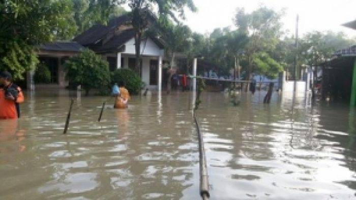 Luapan Kali Lamong Rendam Puluhan Hektar Sawah di Mojokerto Luapan Kali Lamong Rendam Puluhan Hektar Sawah di Mojokerto