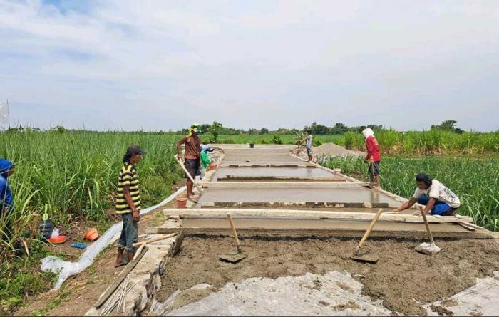 Dorong Perekonomian, Disperkim Jombang Bangun Jalan Penghubung Antar Desa Dorong Perekonomian, Disperkim Jombang Bangun Jalan Penghubung Antar Desa