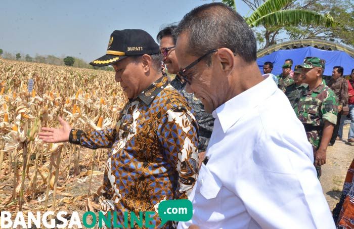 Kunjungan ke Lamongan, Kepala Badan Ketahanan Pangan Kementan Janji tak akan Impor Bahan Pangan Kunjungan ke Lamongan, Kepala Badan Ketahanan Pangan Kementan Janji tak akan Impor Bahan Pangan