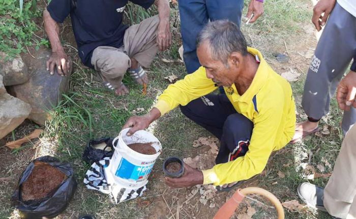 Inovasi Dipertabun, Ciptakan Pembasmi Hama Tikus dari Sekam Inovasi Dipertabun, Ciptakan Pembasmi Hama Tikus dari Sekam