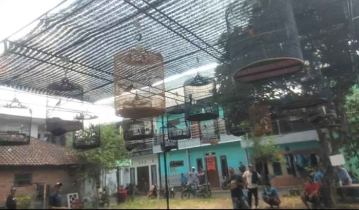 Hajatan Perdana, Gantangan Bioro Malang Gelar Lomba Hajatan Perdana, Gantangan Bioro Malang Gelar Lomba