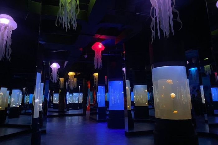 Harga Tiket Oceanarium BXSea Bintaro, Tempat Wisata Baru di Tangerang Selatan Harga Tiket Oceanarium BXSea Bintaro, Tempat Wisata Baru di Tangerang Selatan